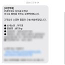 🍊일상 블로그 :: [11월 근황 3]
