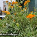 마들공인중개사사무소 이미지