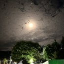 애니카랜드 태장점 | 원주 2025태장동한가위축제라 쓰고 추석야시장이라 부르기로 했음