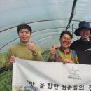 영앤딜리셔스