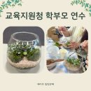 마음을 심는 원예테라피 | 교육지원청 학부모 연수, 테라리움 만들기, 그림책 원예 테라피 수업