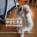 장보는강아지와고양이 신호점 | 장보는 강아지와 고양이 신호점입니다