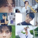 탄 이미지