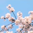 동양매직서비스 티스토리