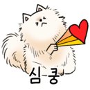 포근한강아지 이미지