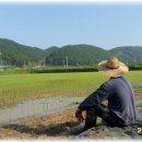 승용 농장 이미지