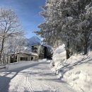 동신약국 | 스위스 여행 준비물과 융프라우요흐 코스 추천 및 솔직후기