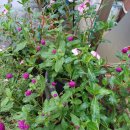 샘터미용실 이미지