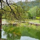 산포리별 네이버블로그