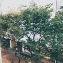 명동정육점 이미지