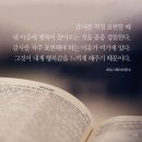 감사365