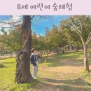 학교형태 | 어린이 숲체험 프로그램 8세 동고비 생태학교 수업 후기