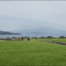 가파도마을협동조합 이미지