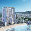 올리브 비치 이미지