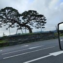 주산면사무소 이미지