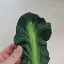 장난감 ┃ 올리앤캐롤 켄달더케일 치발기 내돈내산 후기, 9개월 아기 치발기 추천, 천연고무 치발기