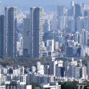 구해줘부동산공인중개사사무소 이미지