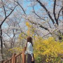 노산 난임 임준생 일상 기록