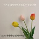 광주미용실 - 강진군 | 광주미용실