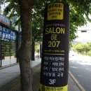 살롱드 207 이미지