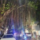 요셉약국 이미지