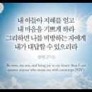 오늘의 '영어성경 사진'(916강) “현명해라 그리고 하나님의 마음을 기쁘게 하라”(잠언 27장 11절) 이미지