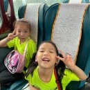 동아대박사한결태권도 이미지