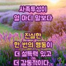 생각쓰기/ 김민수 이미지