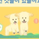 괜찮아동물병원 이미지