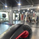 용인대부평복싱 | 삼산동 복싱장 6개월 차 복린이 용인대Y멀티짐 내돈내산 찐후기