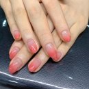 대산가축약품 | 홍성네일 샾바르다에서 예쁜 아트했어요