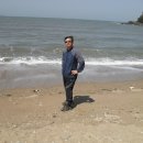 태안바다 이미지