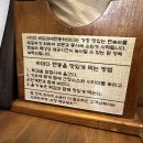 마이텐 이미지