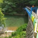 성지곡지 이미지