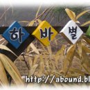 광산구-064 이미지