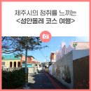 성분도빛둘레지역아동센터 | 제주시의 정취를 느끼는 &lt;성안올레 코스 여행&gt;