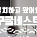 네스시스템 이미지
