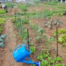 흥덕농장 이미지