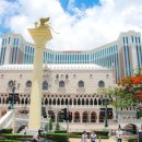 호텔에그 | 마카오 날씨 여행 후기 마카오베네시안호텔 에그타르트 맛집