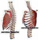 반송동055 이미지
