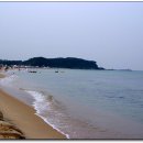 호수와 소나무 이미지