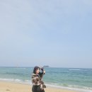 예가애견 | 속초 오션뷰 카페 보사노바로스터리 주차 및 포토존 애견동반 정보