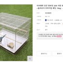 주식회사 리프패럿 이미지