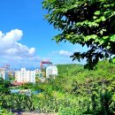 진성골경로당 이미지