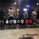 웰핏휘트니스 네이버블로그