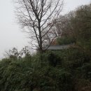 창녕 오여정 이미지