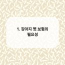켄넬퀸비 네이버블로그