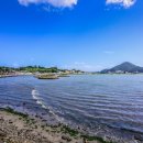 대포어촌체험휴양마을 이미지