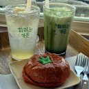 파머스 | 춘천 신북 카페 :: 춘천 빵집 춘천 이색 카페 '파머스가든' 솔직후기