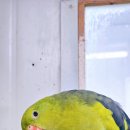 황태자농장 이미지